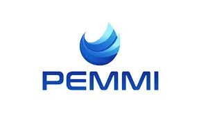 pemmi.de