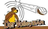 volleybaer.de